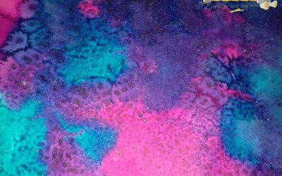 {Technique Fond en Arts visuels} Encre et gros sel