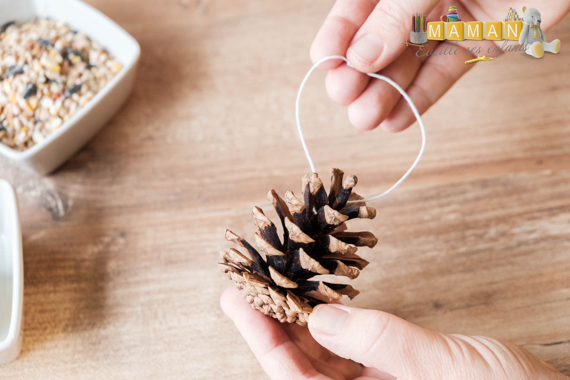 comment faire des boules de graines pour oiseaux