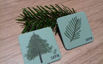 {Ludothèque} Jeu de mémory l&rsquo;arbre et la feuille, chez Pirouette Cacahouète