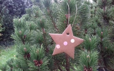 Un kit qui tombe à pic ! chez Pirouette cacahouète