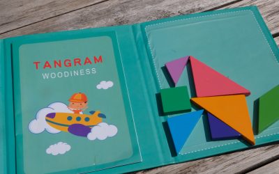 Le tangram magnétique de voyage MECAPUZZLE