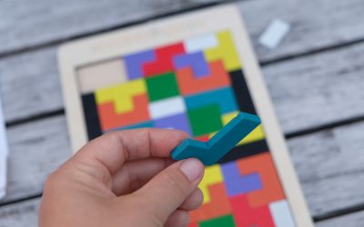 Tetris en bois MECAPUZZLE