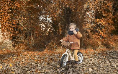 De la coquetterie en deux roues avec la draisienne Bikloon métal vintage, JANOD