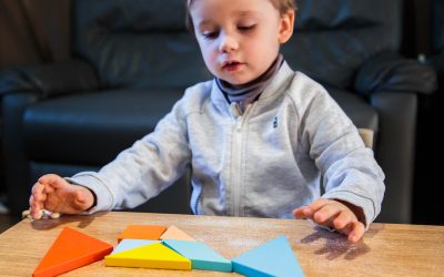 On se creuse les méninges avec le Tangram JANOD