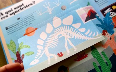 Sélection d’été 2021 aux éditions Saltimbanque