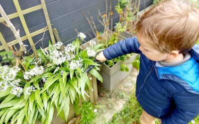 A chacun son Mag&rsquo; avec la SALAMANDRE: un pour le cadet, un pour l&rsquo;aîné, un pour les parents !