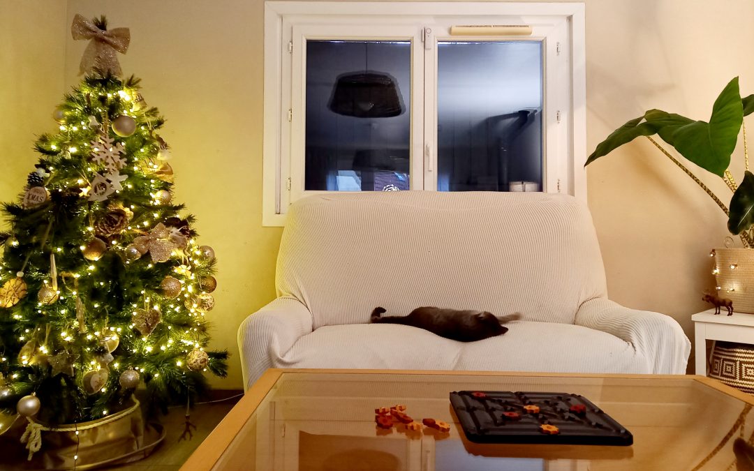 Qomet : la nouvelle pépite chez Gigamic